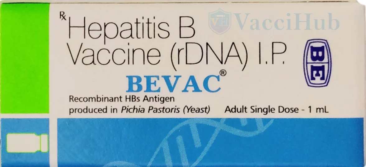 BEVAC ADULT